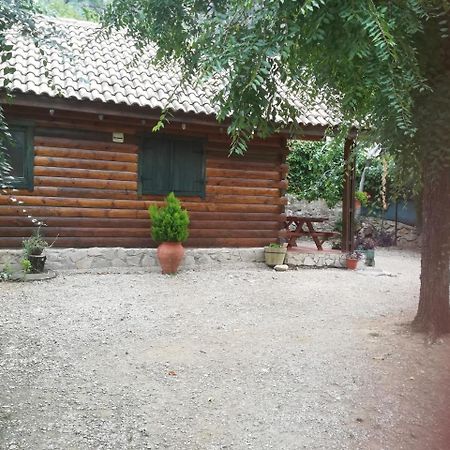 Cabana De Madera La Encina Burunchel Exterior foto