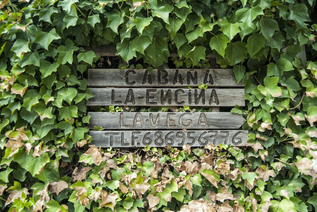 Cabana De Madera La Encina Burunchel Exterior foto